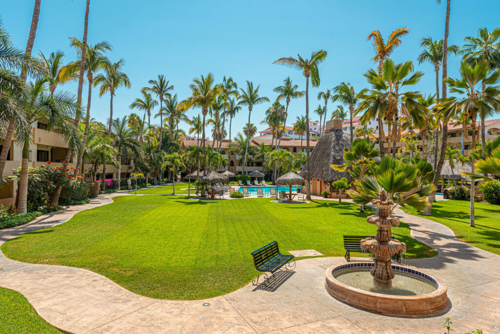 Own Cabo Real Estate  for sale